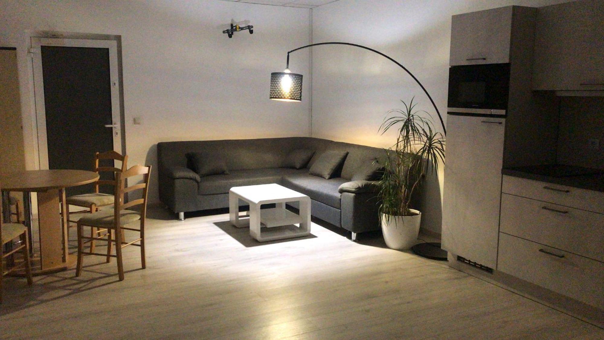 Grosse & Voll Ausgestattete Apartments, Studios, Doppelzimmer, Workspace, Parkplatz, Netflix, Prime & Schnelles Wifi In Ruhiger Lage Mit Garten Рудольштадт Экстерьер фото